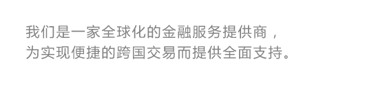 我们是一家全球化的金融服务提供商，为实现便捷的跨国交易而提供全面支持。